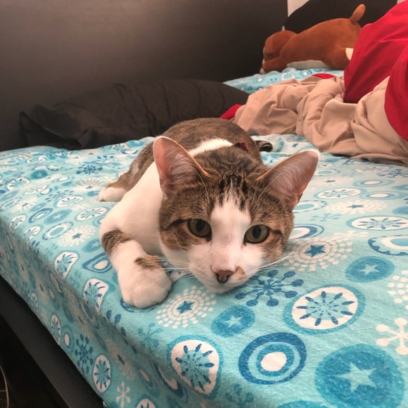 Meet your Posher, Marie - Picture 1 of 1